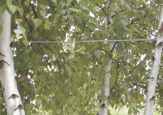 TREE-GRIP™ Dead-end